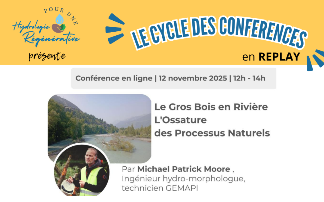 Webinaire | Le Gros Bois en rivière, ossature des processus naturels