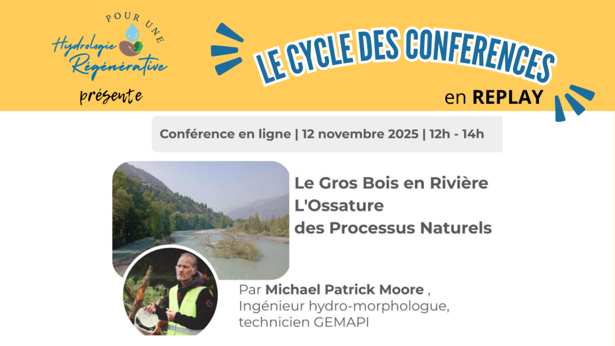 Webinaire PUHR le gros bois en rivière ossature des processus naturels
