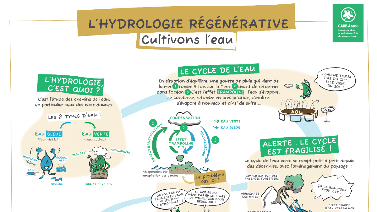 Infographie hydrologie régénérative