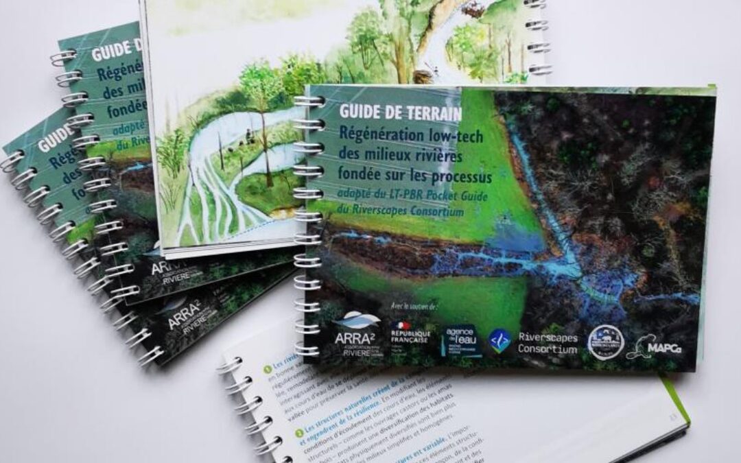 Guide de Terrain – Régénération low-tech fondée sur les processus