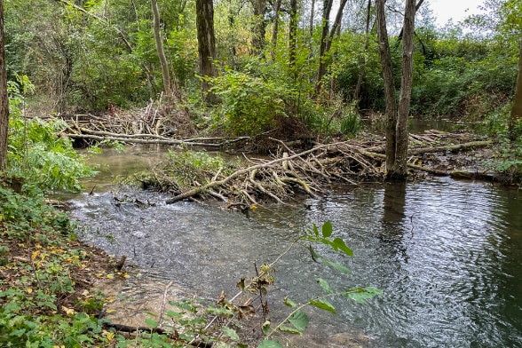 PUHR - Barrag esur rivière